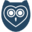 PapersOwl logo